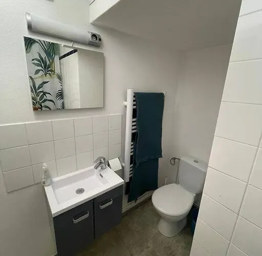 公寓 Rdc Parking Prive Gratuit